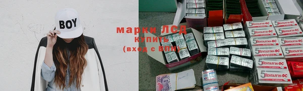 мдпв Горнозаводск