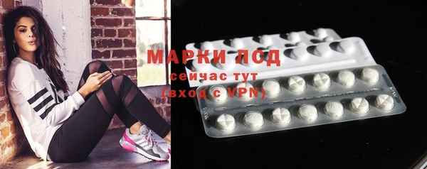 мдпв Горнозаводск