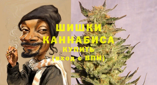 спиды Вязьма