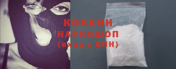 мдпв Горнозаводск