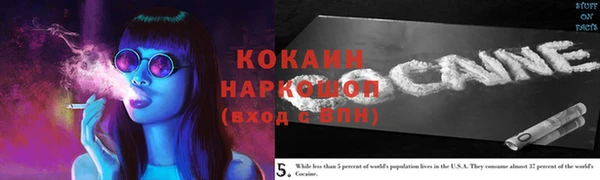 мдпв Горнозаводск