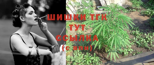 спиды Вязьма