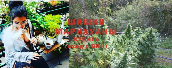 первитин Вяземский