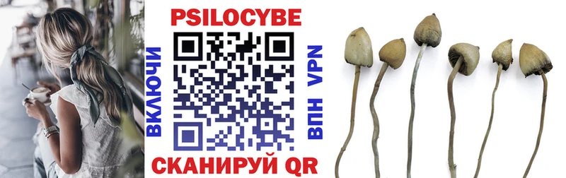 Купить закладки  Омутнинск  Галлюциногенные грибы мухоморы 